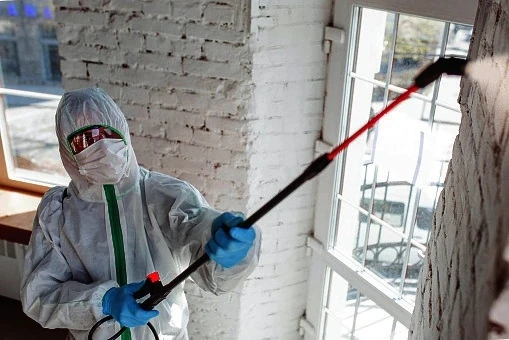 Water & Mold Remediation